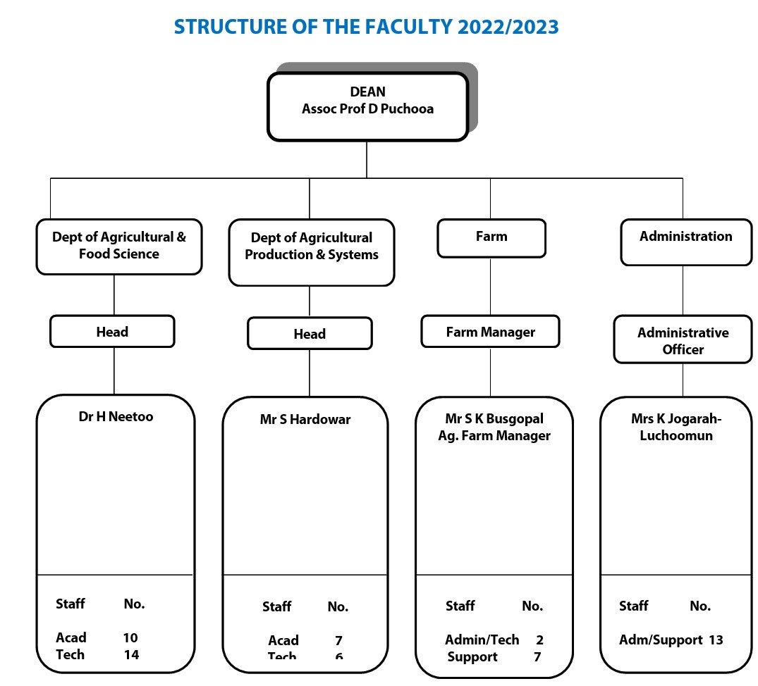 Facultystructure