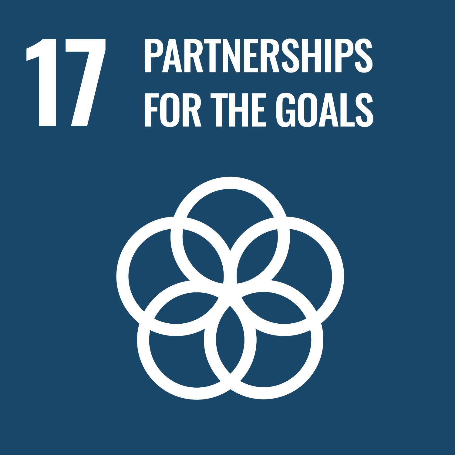 Sustainability Rankings - SDG17